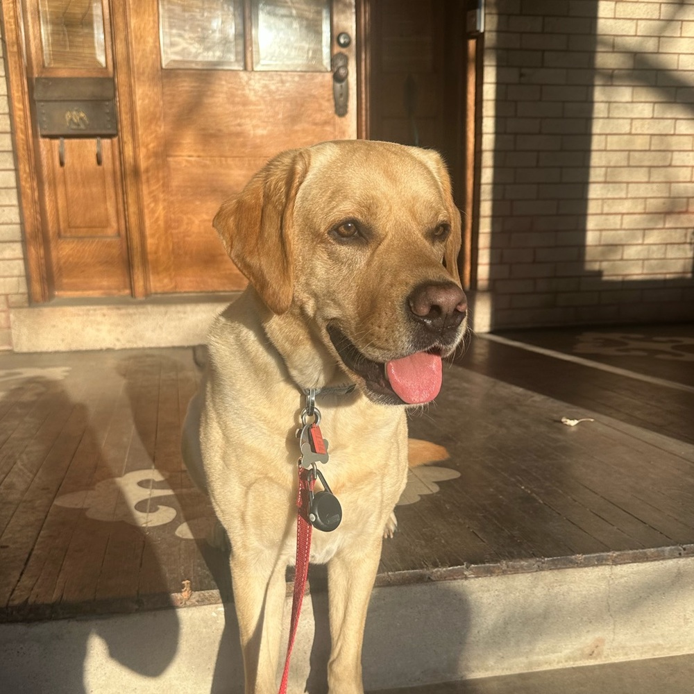Meet your Posher, Logan